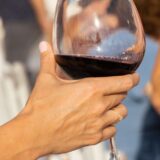 découvrez les festivals du vin : dégustations, rencontres avec les vignerons et animations pour célébrer les terroirs et leurs meilleurs crus.